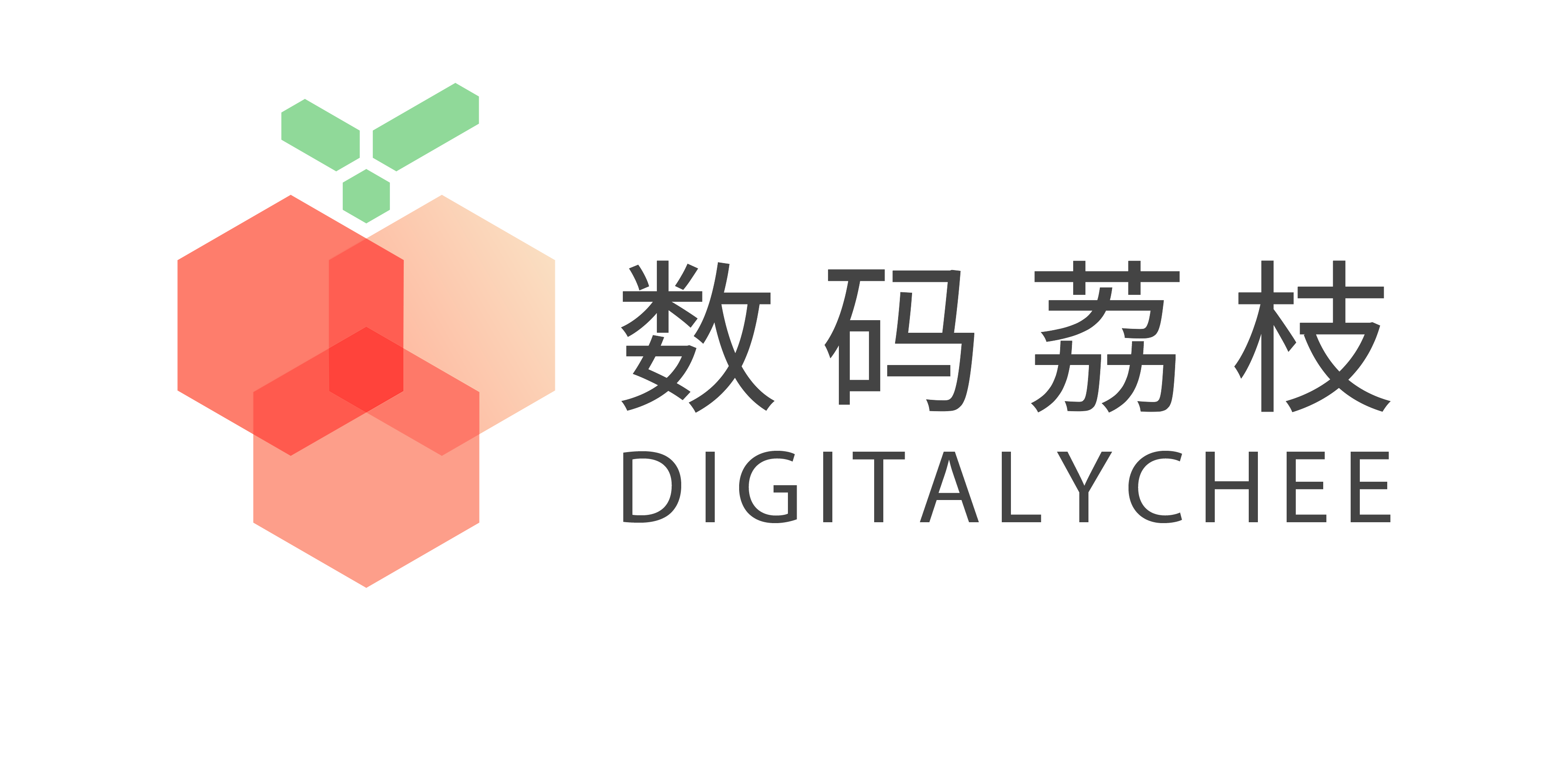 Digital Lychee Logo